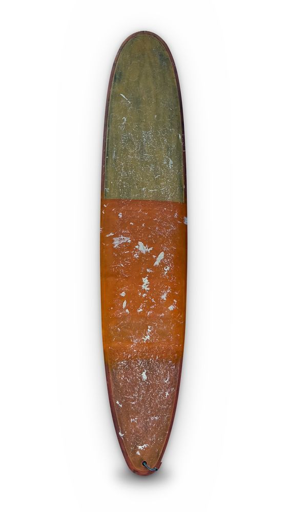 LONGBOARD THE GEM 9'1 FIREWIRE