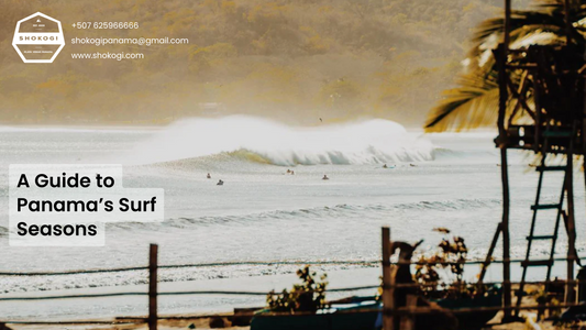 Image of surfers in Panama 