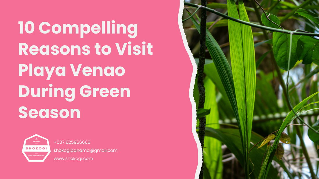 10 Reasons to Visit Playa Venao During Green Season
